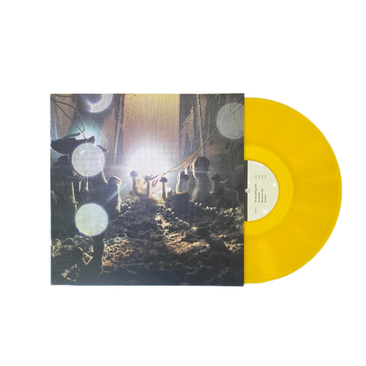 Vinyl LP - Product Photo