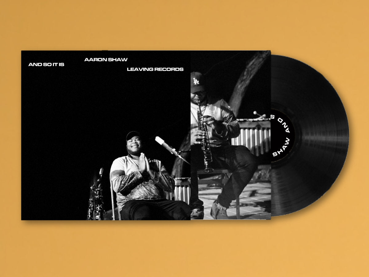 Vinyl LP - Product Photo