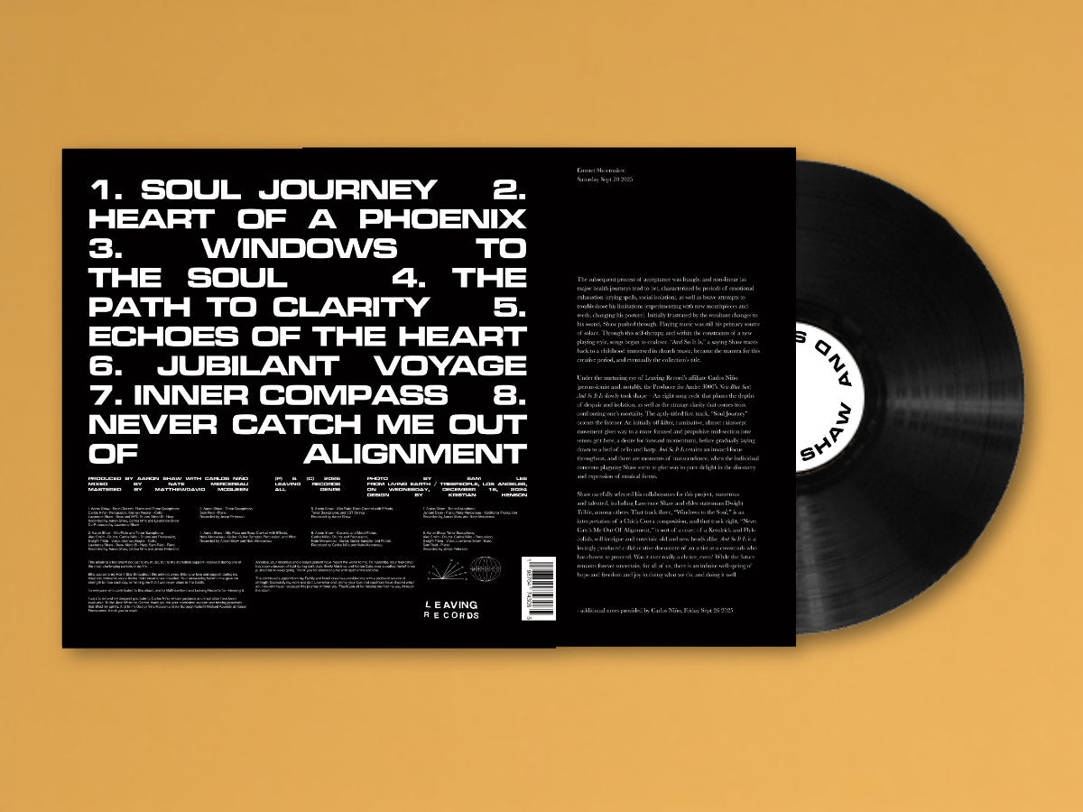 Vinyl LP - Product Photo