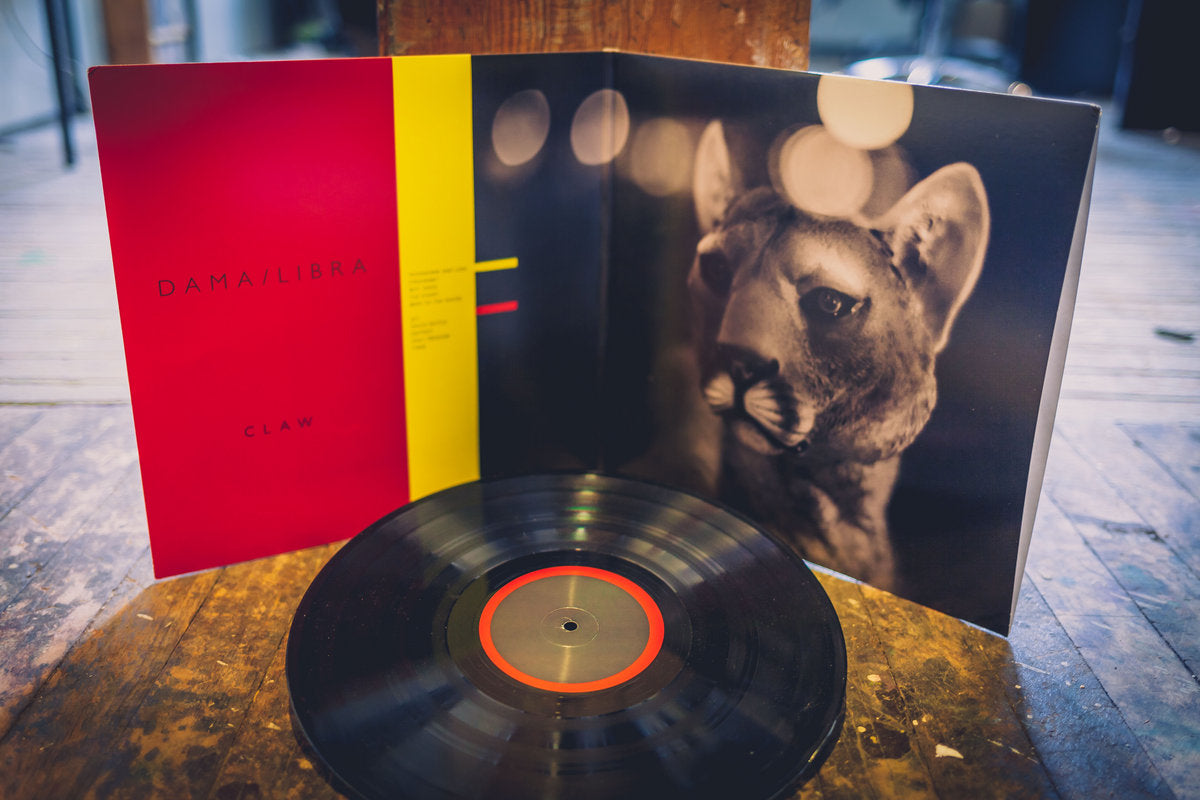 Vinyl LP - Product Photo