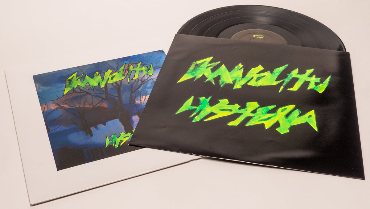 Vinyl LP - Product Photo