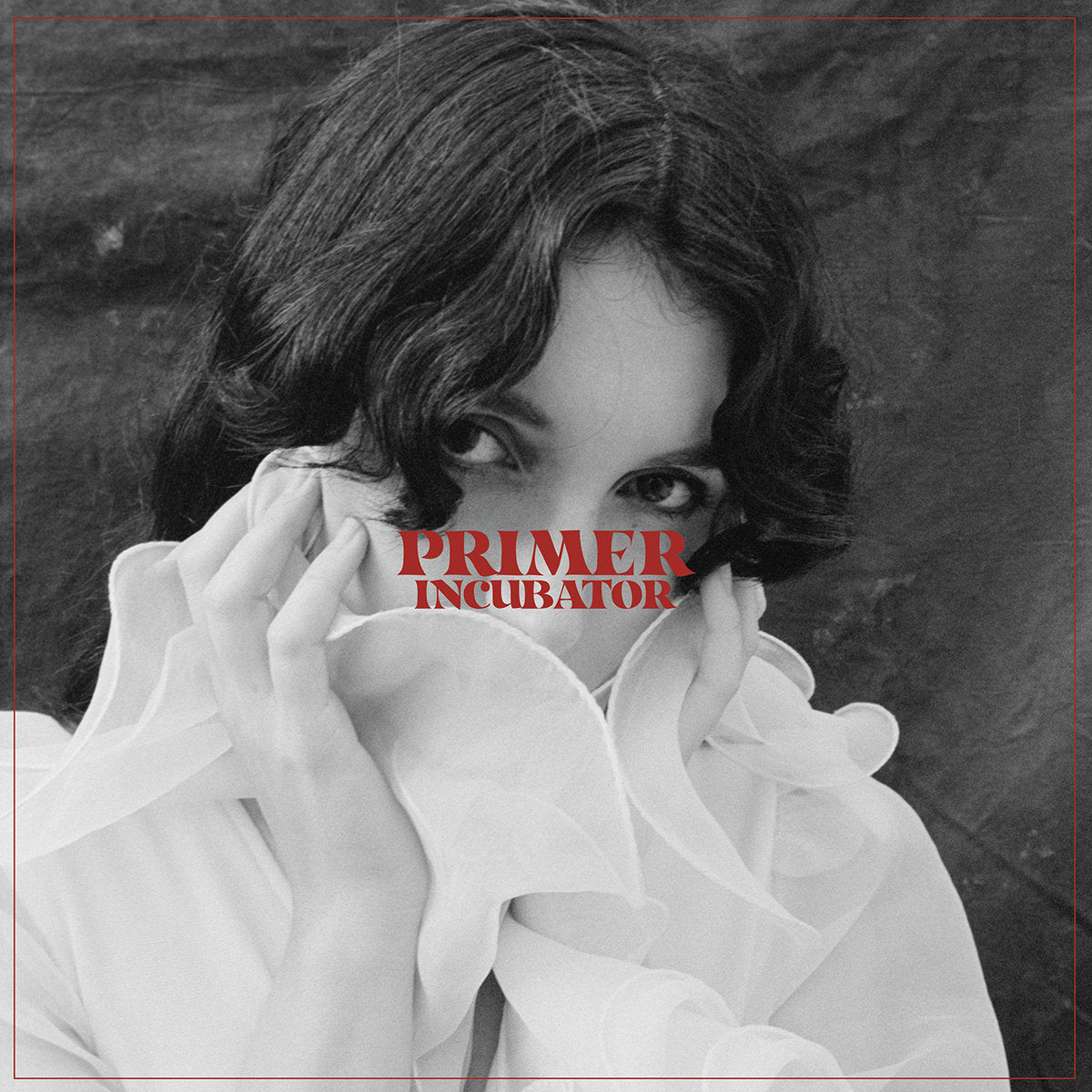 Primer - Incubator LP