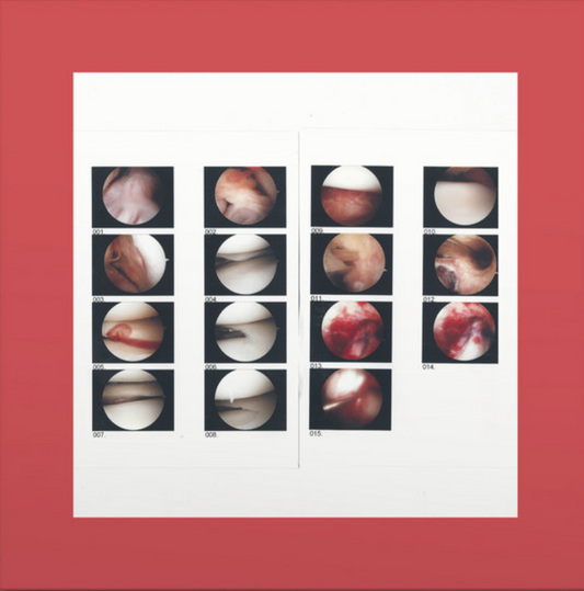 The Cradle - Laughing In My Sleep CD