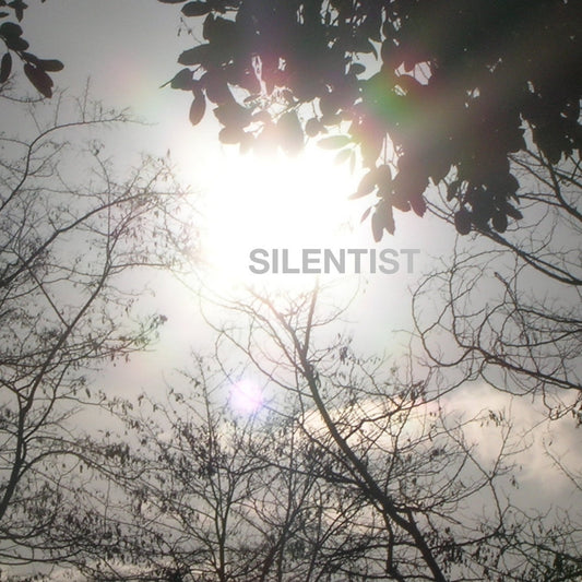 Silentist - The Tunnel Vinyl Single