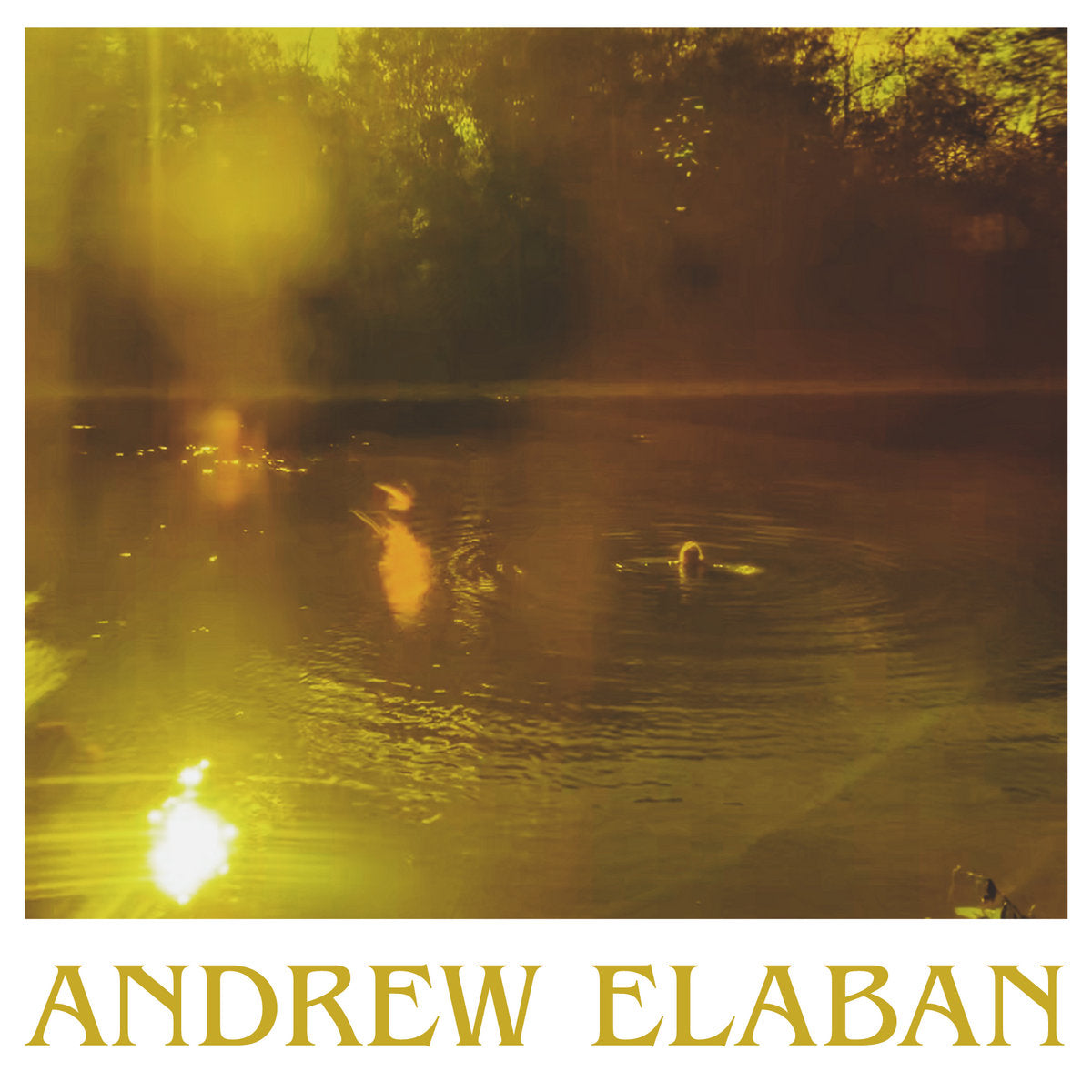 VARIEGATED TRIBUTARY / WOVEN CRESCENT - Album Art
