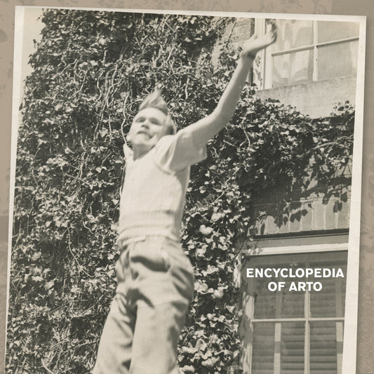 Arto Lindsay - The Encyclopedia of Arto 2xLP