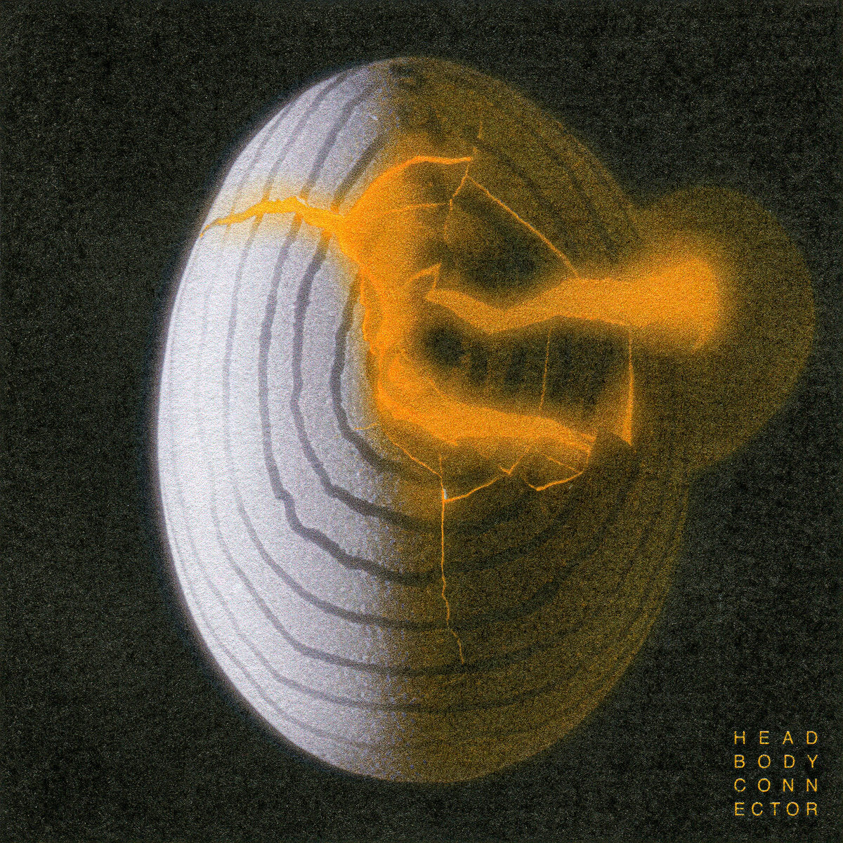 Head Body Connector - Album Art