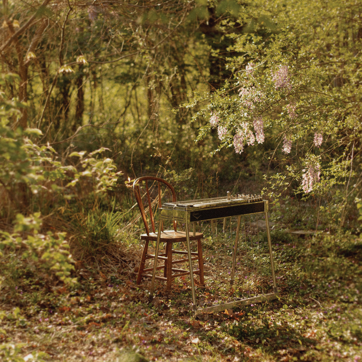 Luke Schneider - For Dancing in Quiet Light LP - Album Art