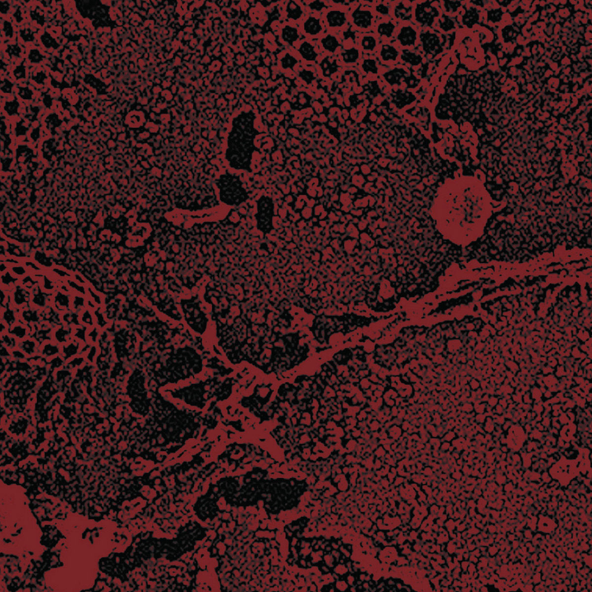 Shredded Nerve - Bleeding From The Head CS