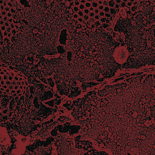 Shredded Nerve - Bleeding From The Head CS