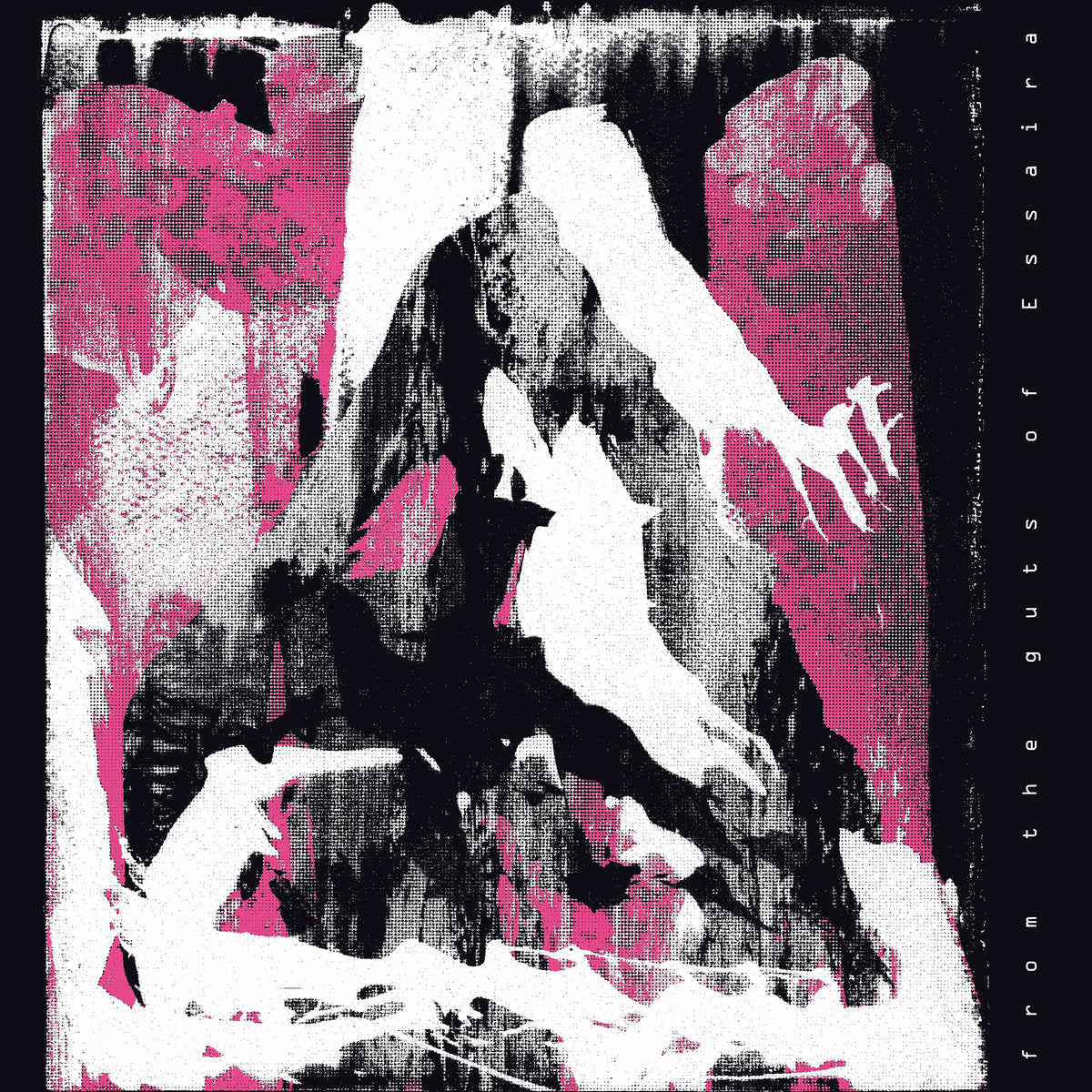 Essaira - From The Guts Of Essaira LP