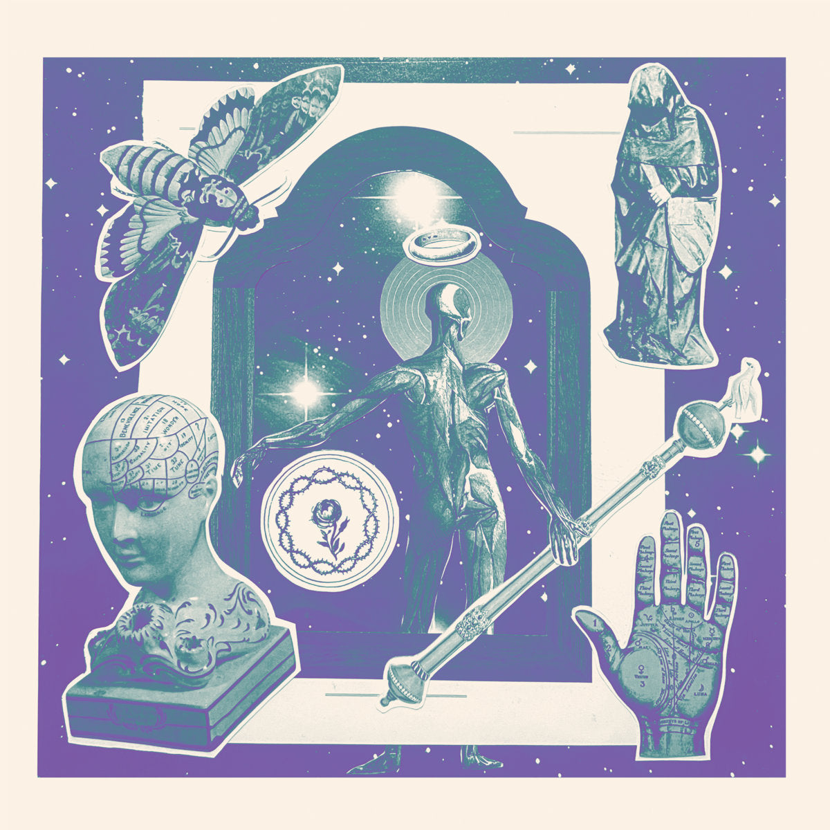 The Shape - Self Titled LP