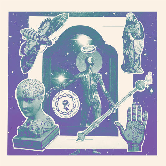The Shape - Self Titled LP