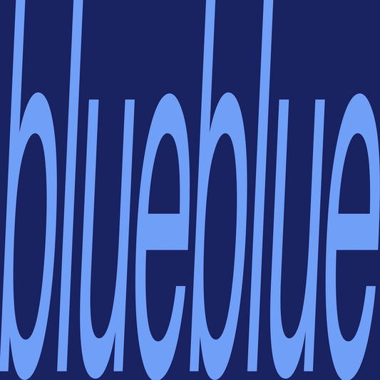 Sam Gendel - blueblue LP - Album Art