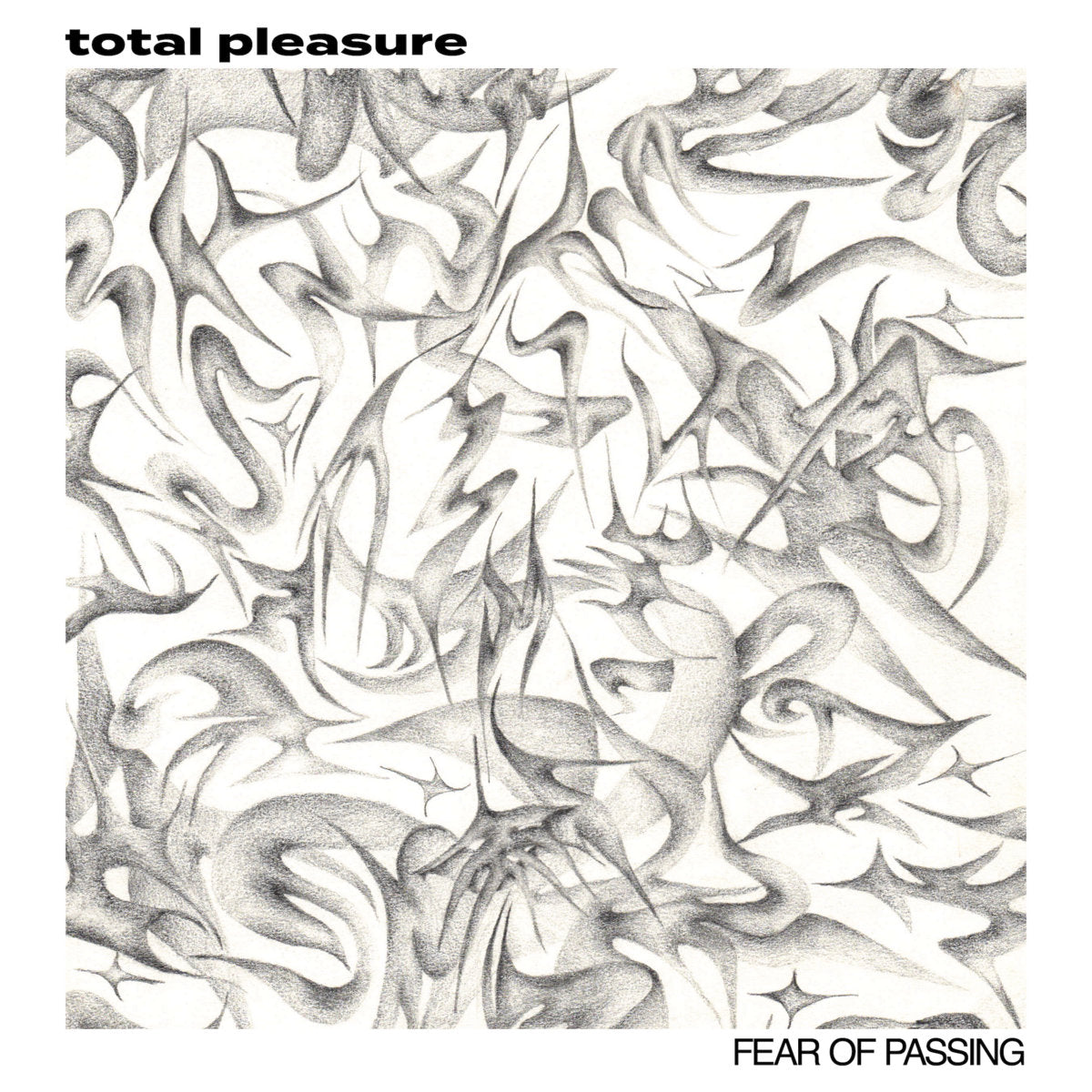 Total Pleasure - Fear of Passing LP