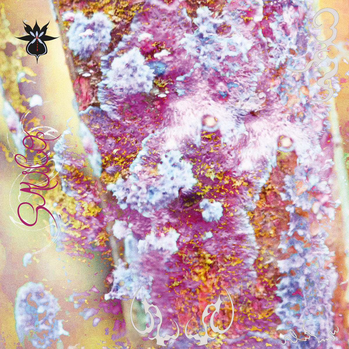 Qoa - SAUCO LP - Album Art