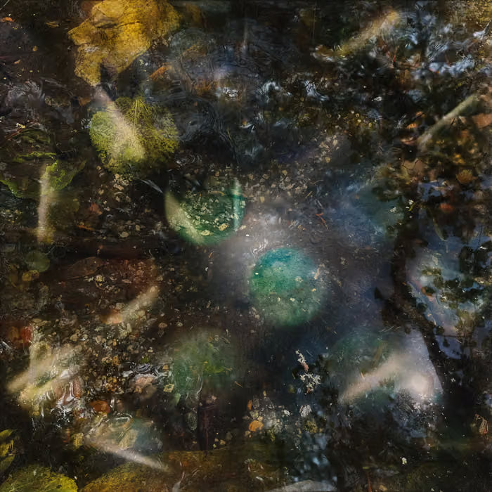 Green-House - A Host for All Kinds of Life LP