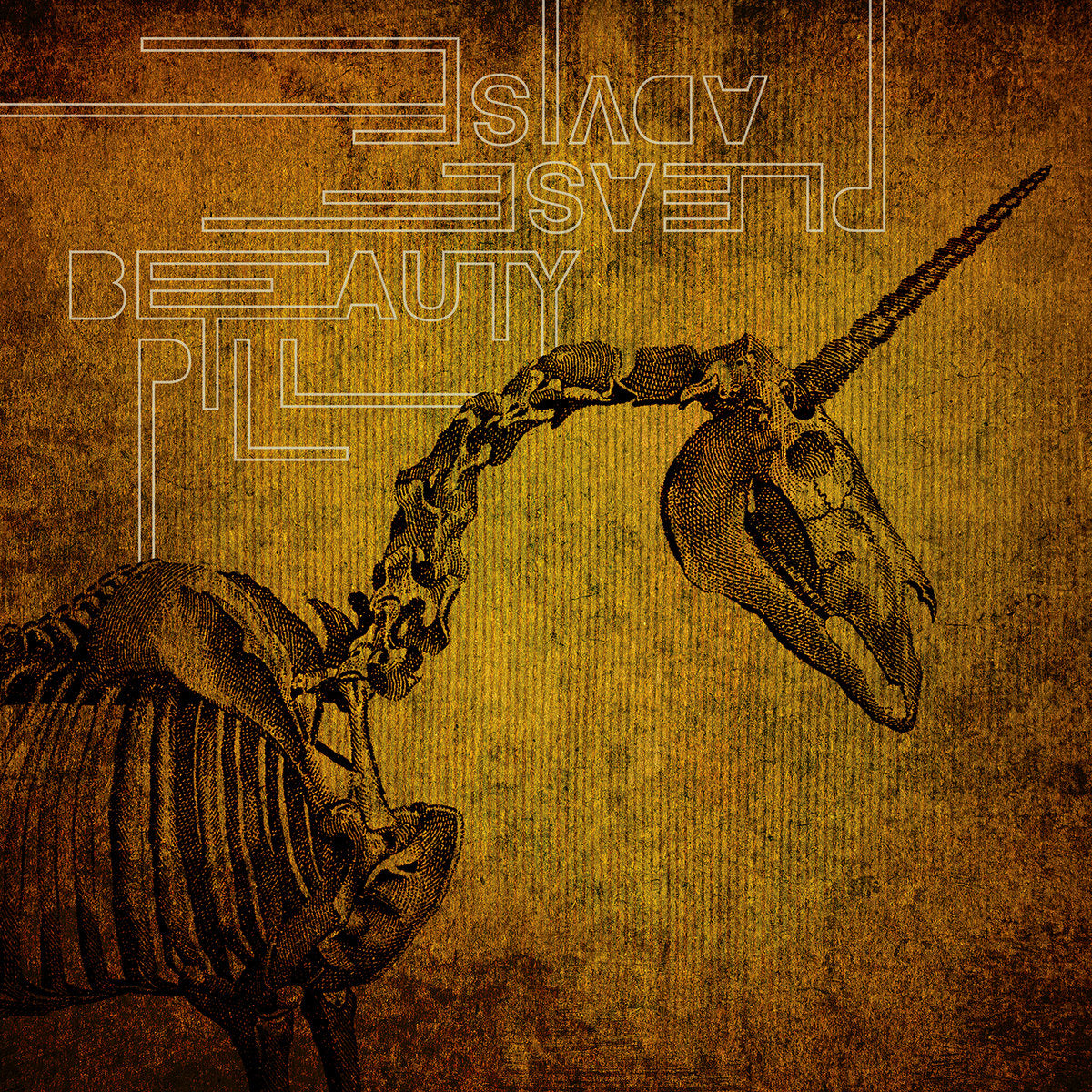 Please Advise - Album Art