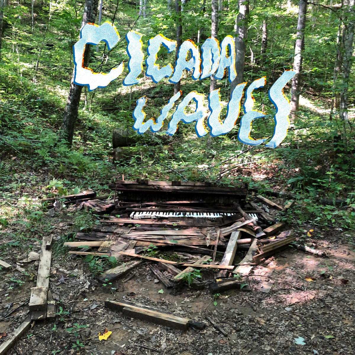 Cicada Waves - Album Art