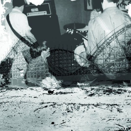 Nuzzle - Follow, For Now LP