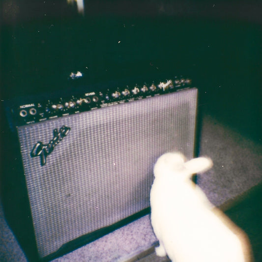 Shrine Maiden - A Theory of /Cloud/ CD