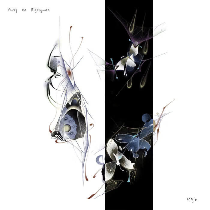 Harry the Nightgown - Ugh Black LP