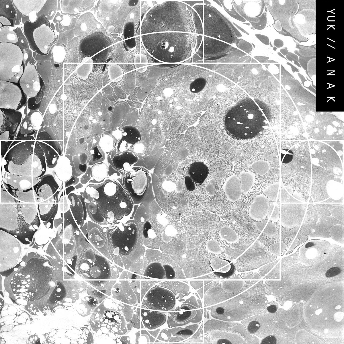 yuk. - yuk. - a n a k LP - Album Art