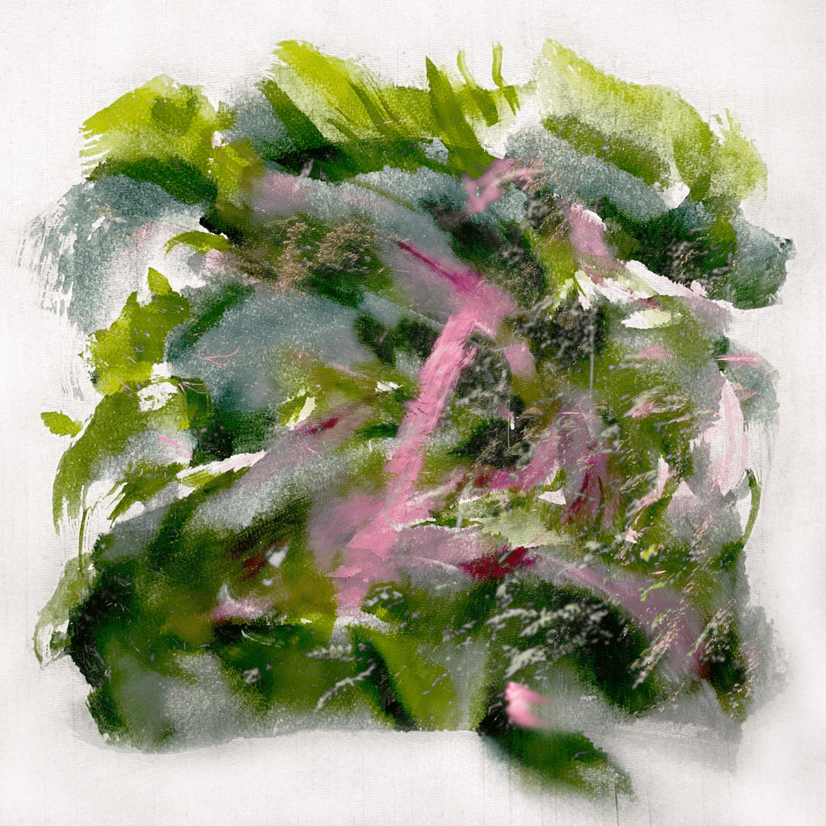 Forest Scenes - Album Art