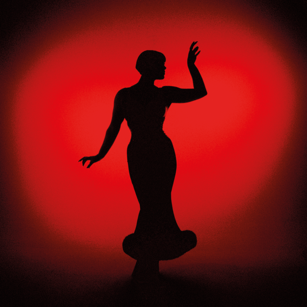 Subject Sue - Details In The Dark LP