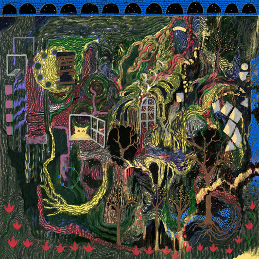 King Gizzard & The Lizard Wizard - music to think existentially to CS